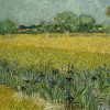  LaquePrint op hout – Veld met bloemen bij Arles – Vincent van Gogh – 26 x 19,5 cm – bestelnummer: LP169